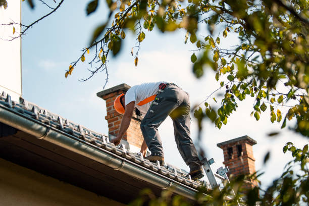 Best Emergency Roof Repair  in Lesslie, SC