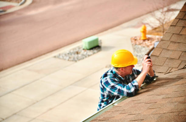 Best Roof Gutter Cleaning  in Lesslie, SC