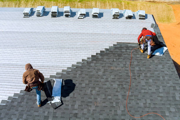 Best Metal Roofing Contractor  in Lesslie, SC
