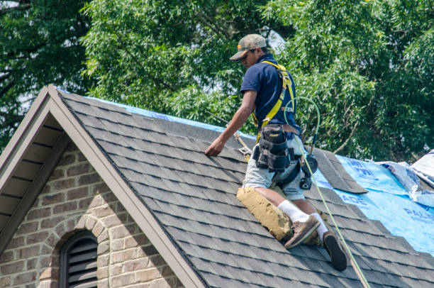 Best Commercial Roofing Services  in Lesslie, SC